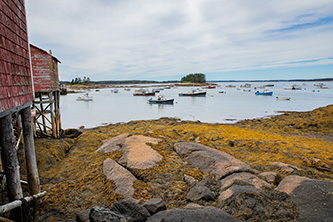 Coast of Maine picture